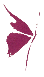 Entrada a la pgina principal